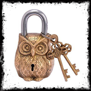 Owl Shaped Keyed Padlock قفل کلیدی شکل جغد